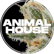 Photograph of product: Animal House | Hella Jelly Kief Infused Pre-rolls 7pk, 3.5g