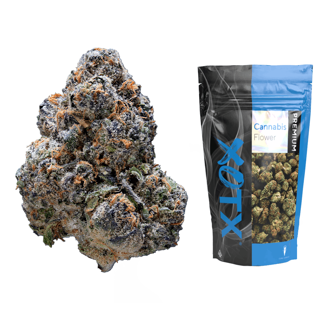 Photograph of product: XOTX - Flower - Bubble Gum Runtz - 28G