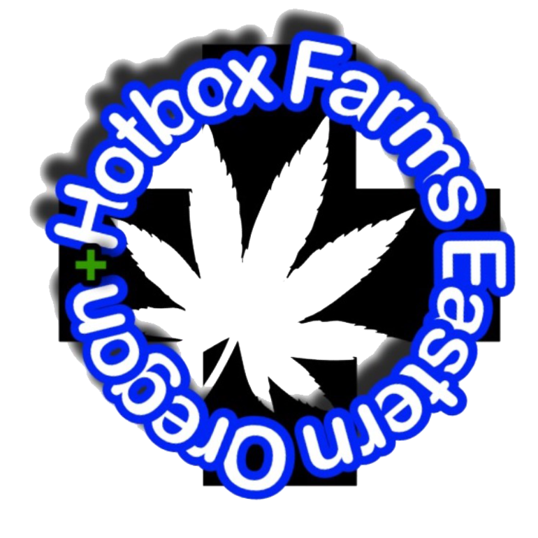 Photograph of product: T Shirt Sorry We're Stoned White (S)