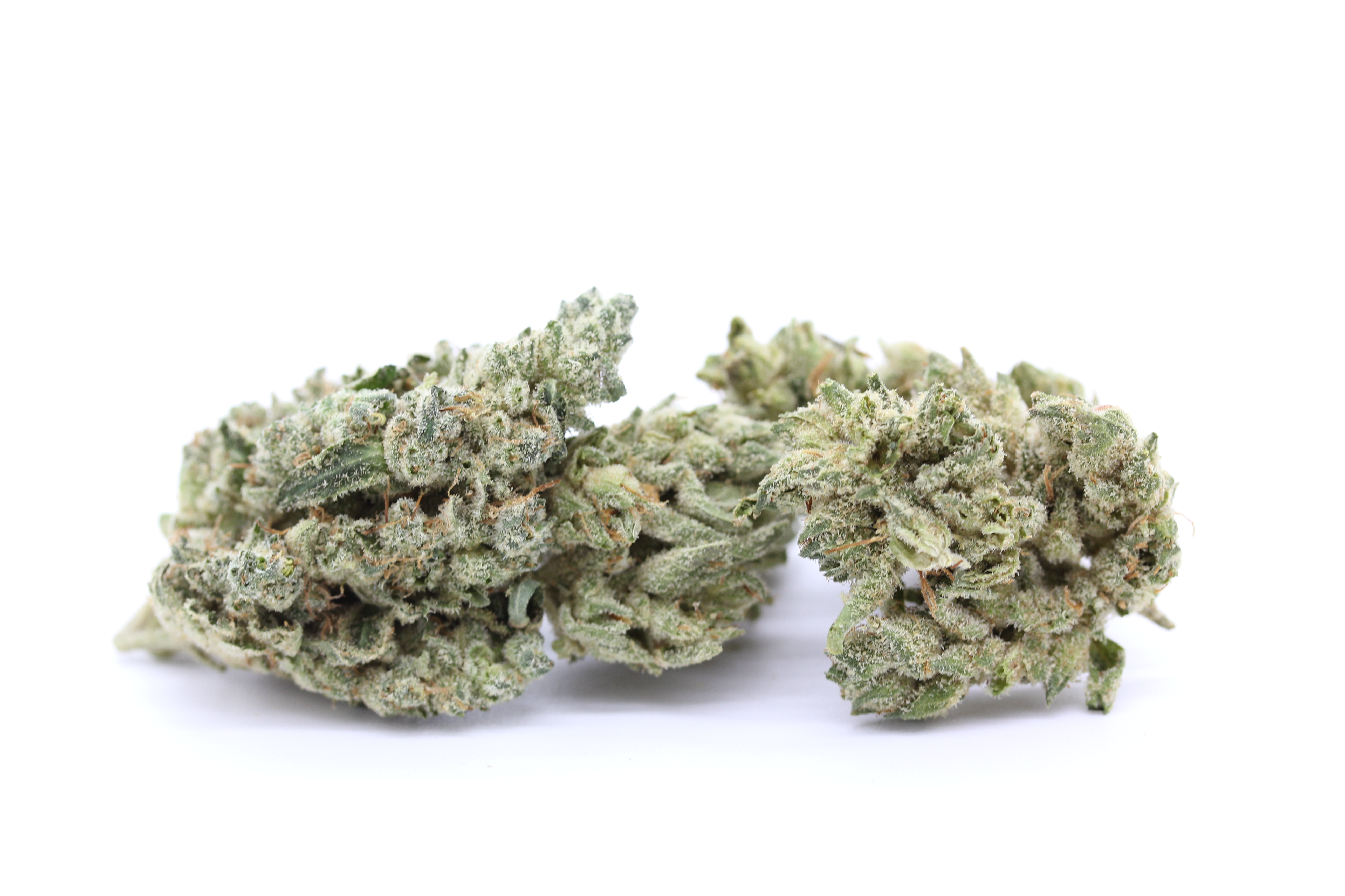 Photograph of product: Flower - Glue - 28g