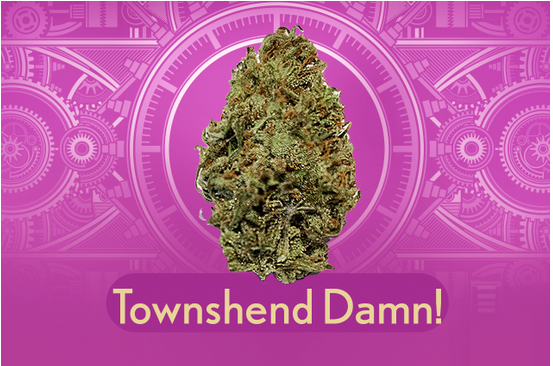 Photograph of product: Townshend Damn! 1g 2pk - total