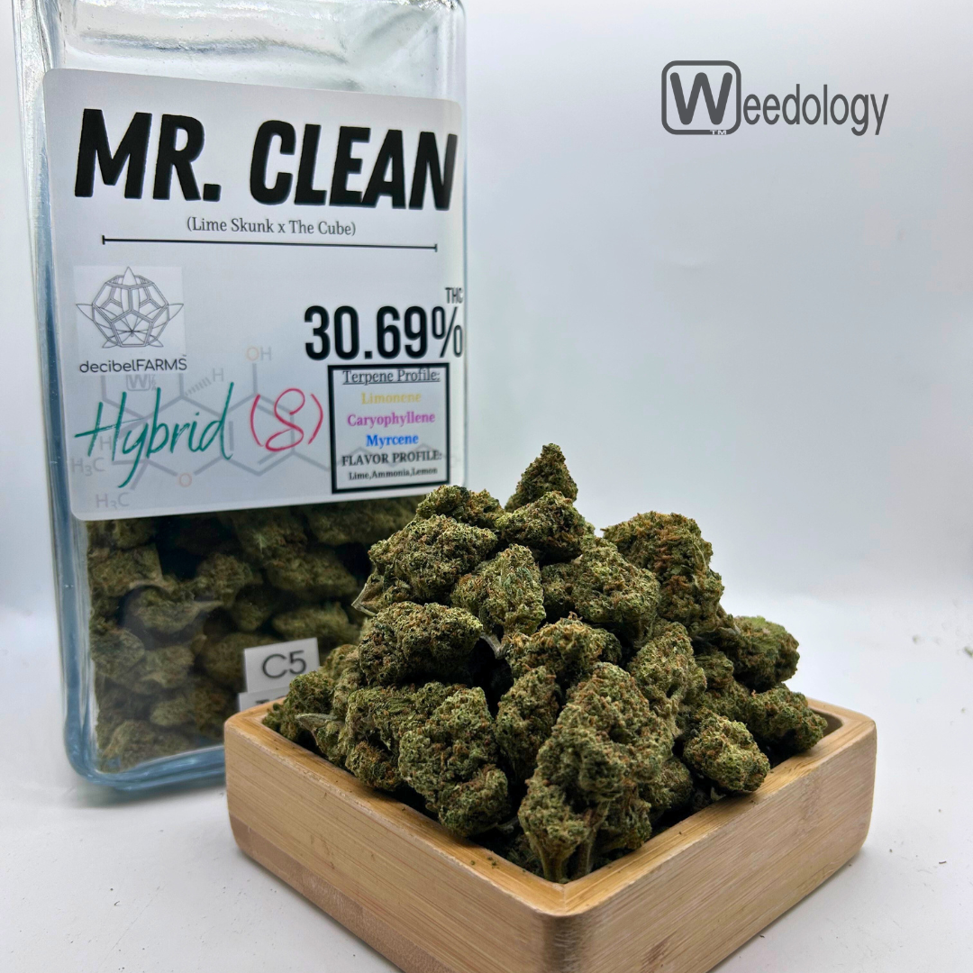 Photograph of product: Mr Clean (S-H) - 28g
