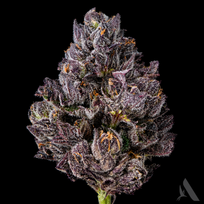 Photograph of product: Grinz 3.5g (H) 00255