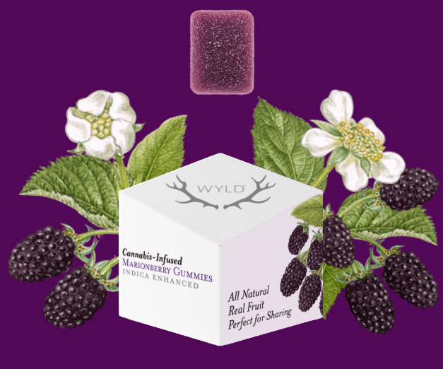 Photograph of product: MARIONBERRY - 200MG TH-oui