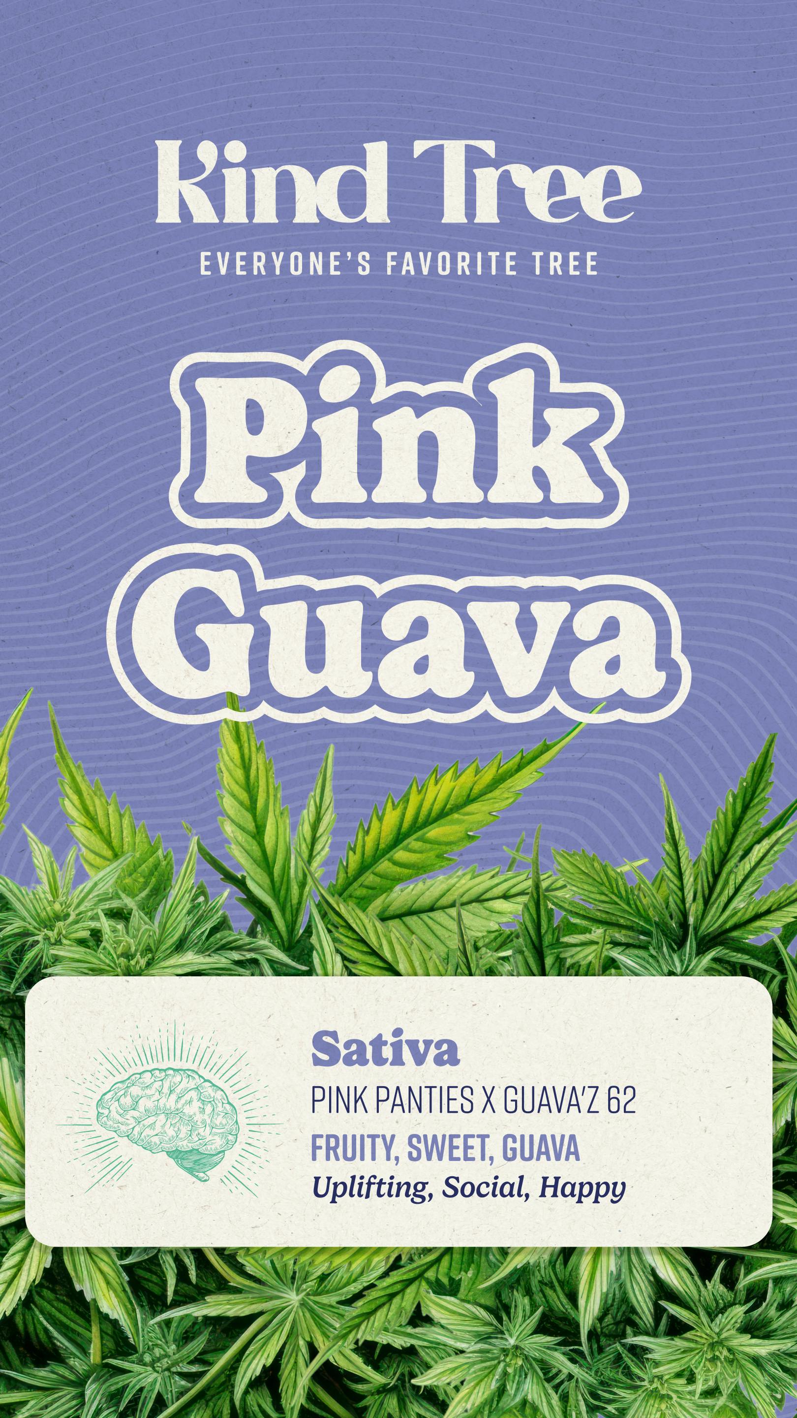 Photograph of product: Pink Guava I 14g I Kind Tree