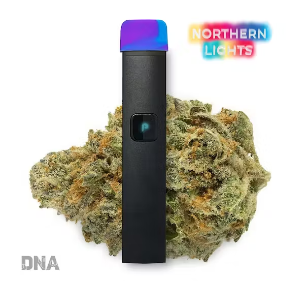 Photograph of product: Northern Lights Dispo