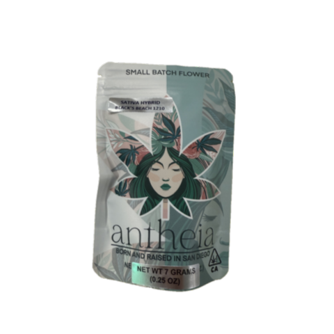 Photograph of product: ANTHEIA | BLACK'S BEACH 1210 (H) | 7G