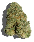 Photograph of product: Dope Dope | Pablo's Revenge (H) - 28g