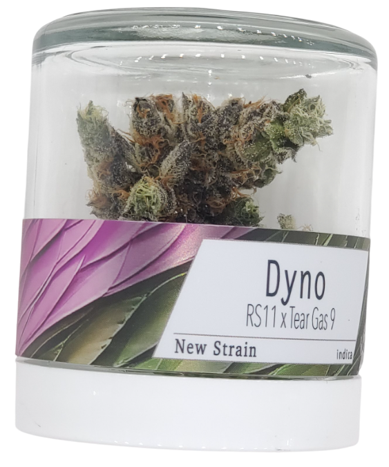 Photograph of product: Fifty Fold Dyno - 3.5g
