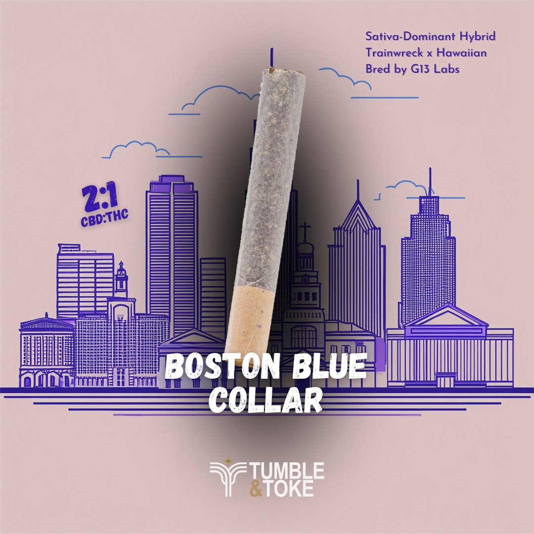 Photograph of product: Boston Blue Collar | Straight Rolled Cannon |  1g | by Tumble & Toke