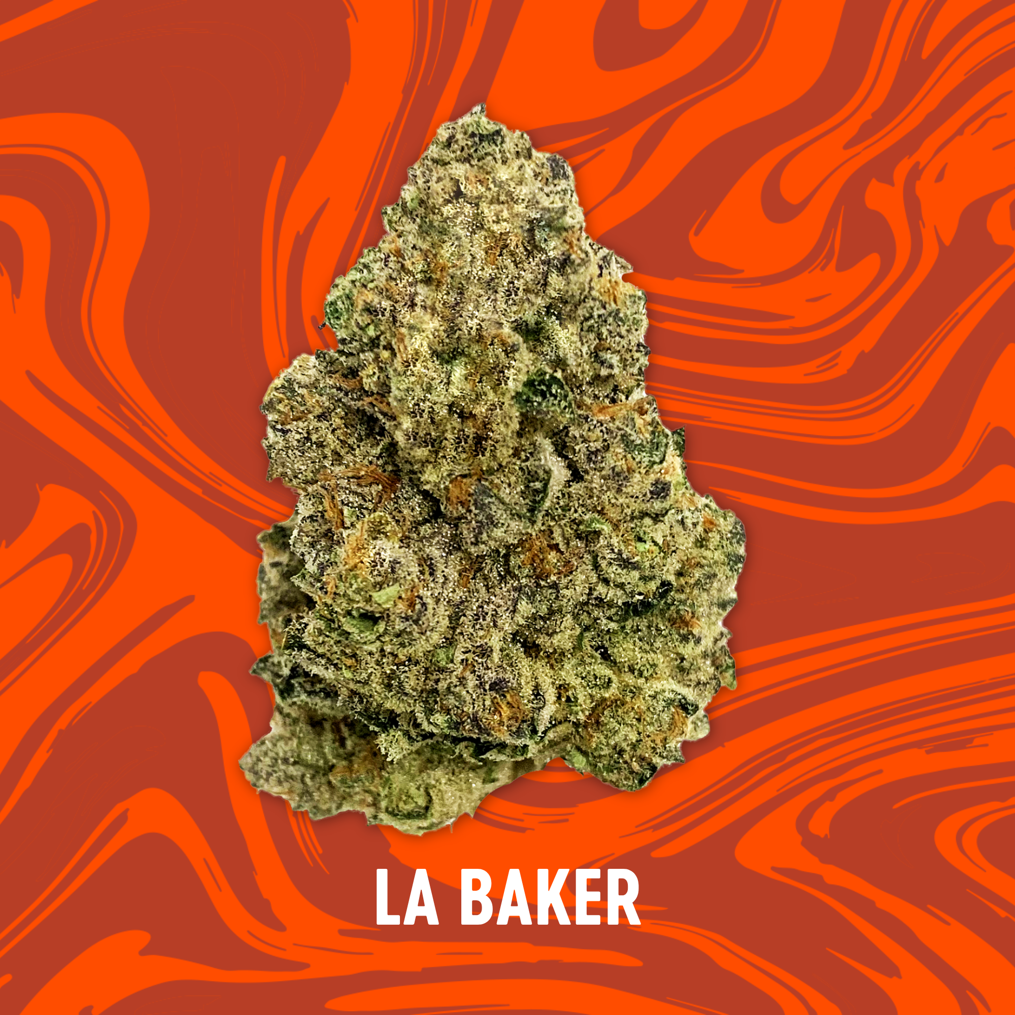 Photograph of product: Vivid - LA Baker - Deli Flower - 84g