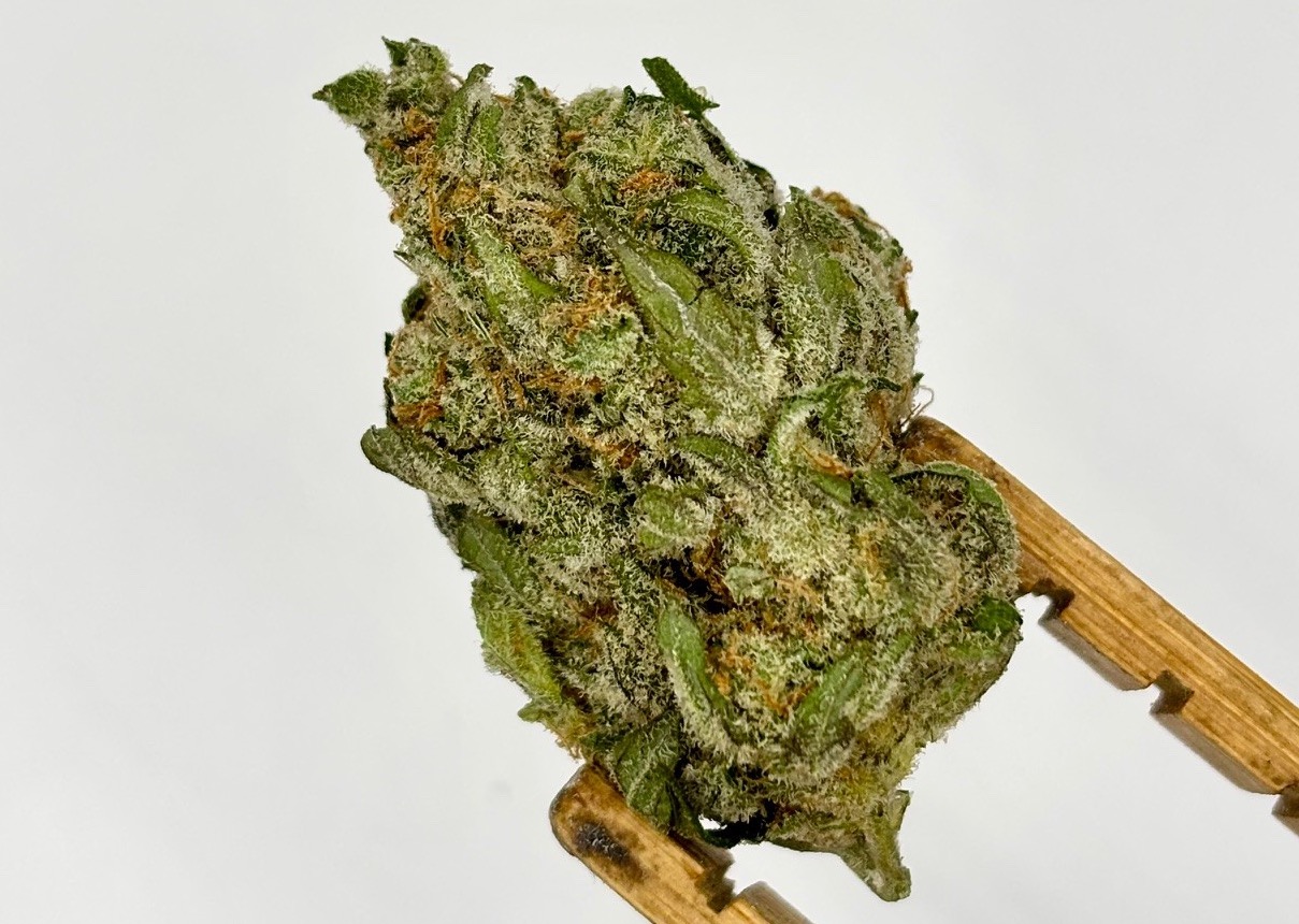 Photograph of product: Elysium | Candy Store | House Pre-Pack | 28g