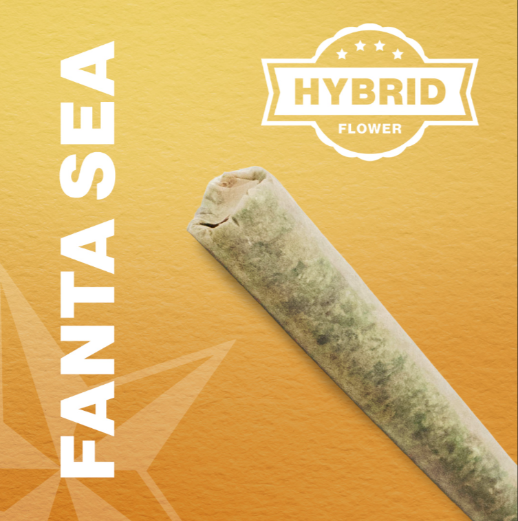 Photograph of product: Fanta Sea | Organic Preroll | 1g