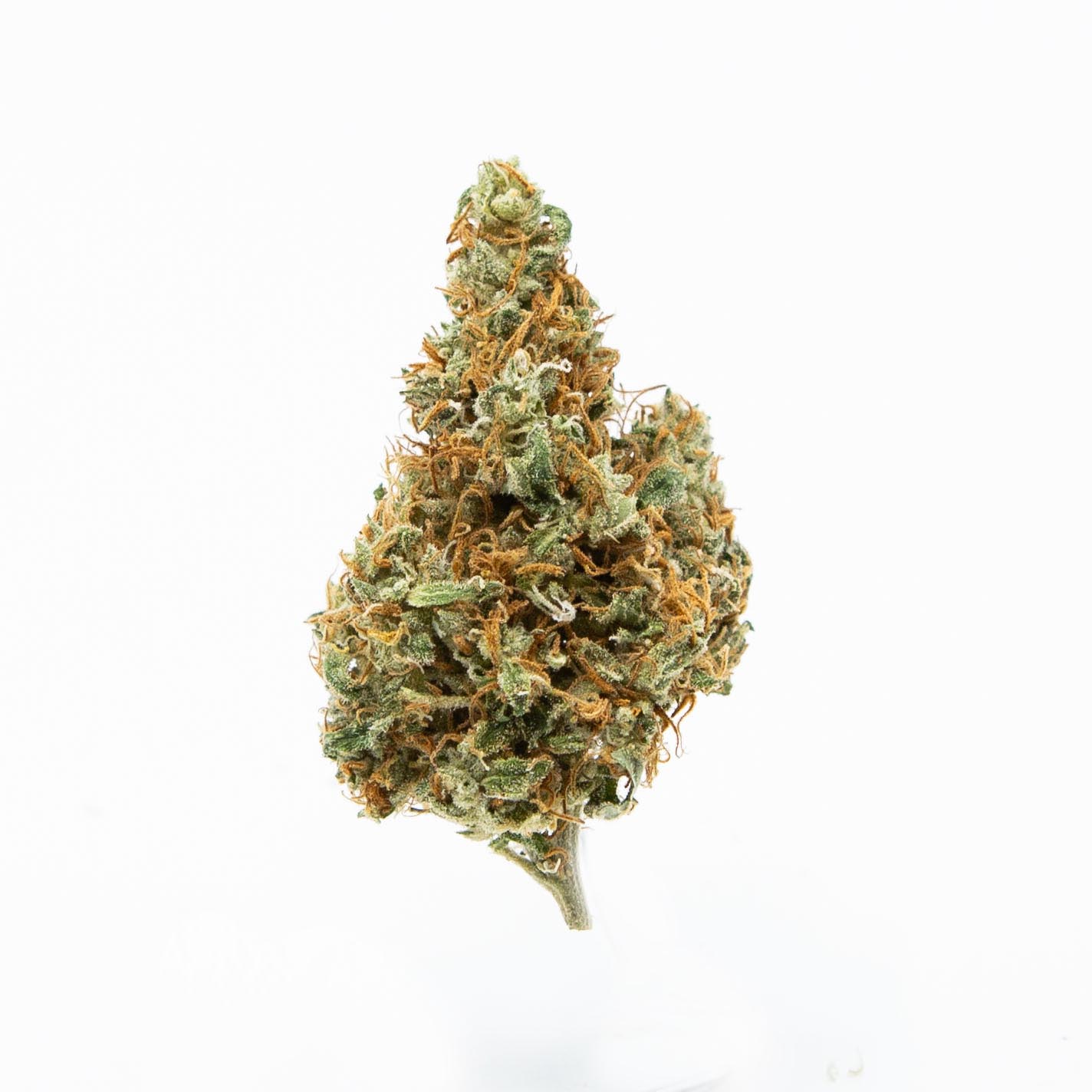 Photograph of product: Peyote Cookies (Oui'd) - Loose