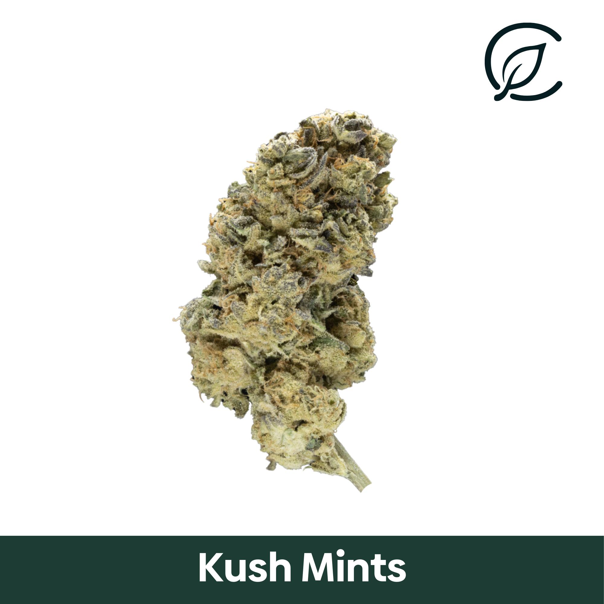 Photograph of Product: CURALEAF | Kush Mints | Preroll | 1g