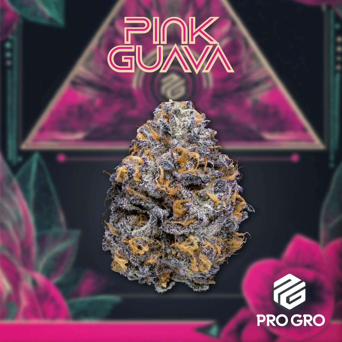 Photograph of product: PRO GRO | PINK GUAVA - PREPACK HYBRID - 3.5g