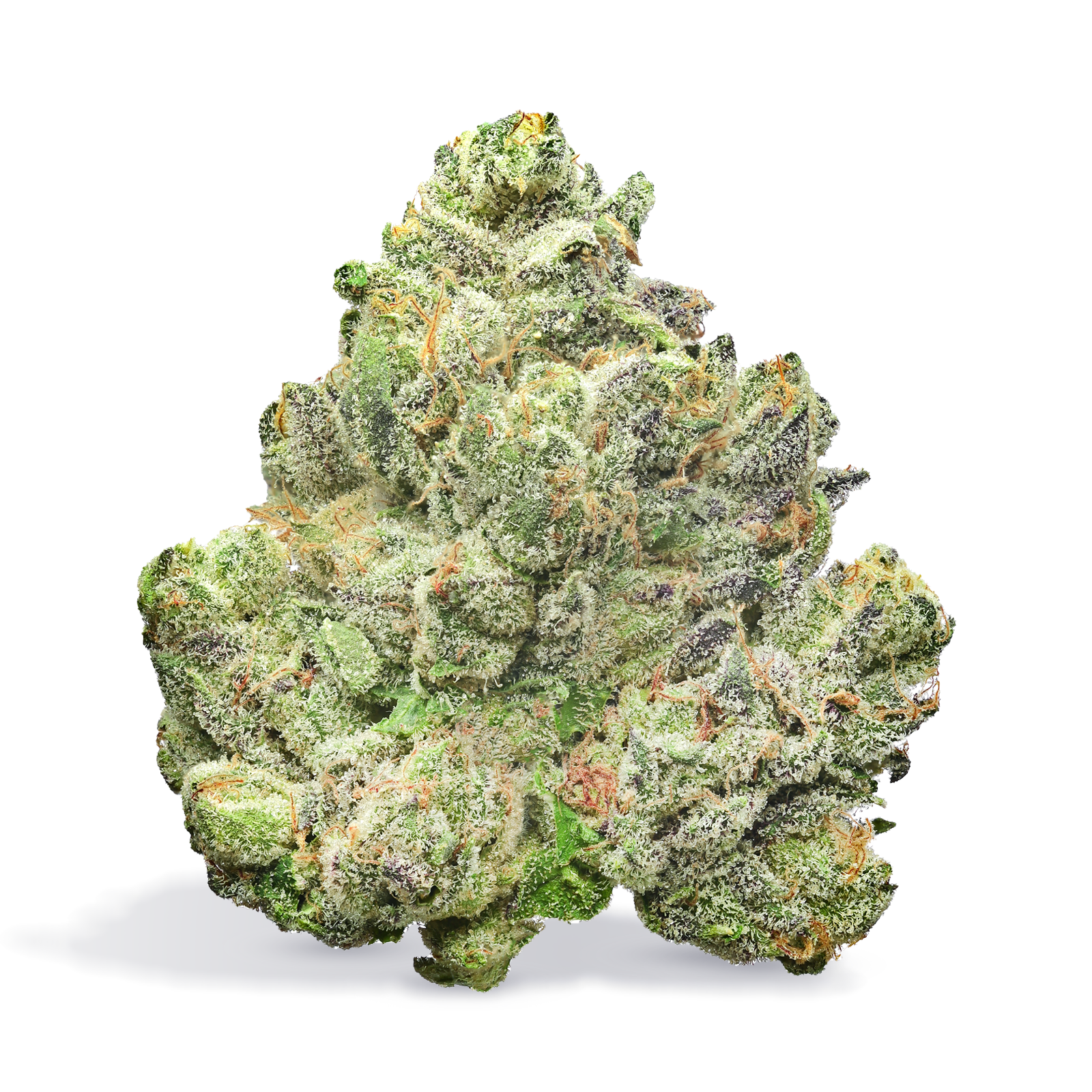 Photograph of product: Black Magic Woman - 7g