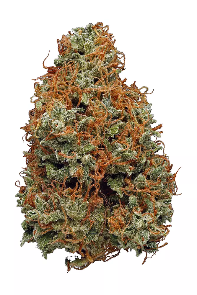 Photograph of product: Bailey's Buds | Liberty Haze Flower 3.5g