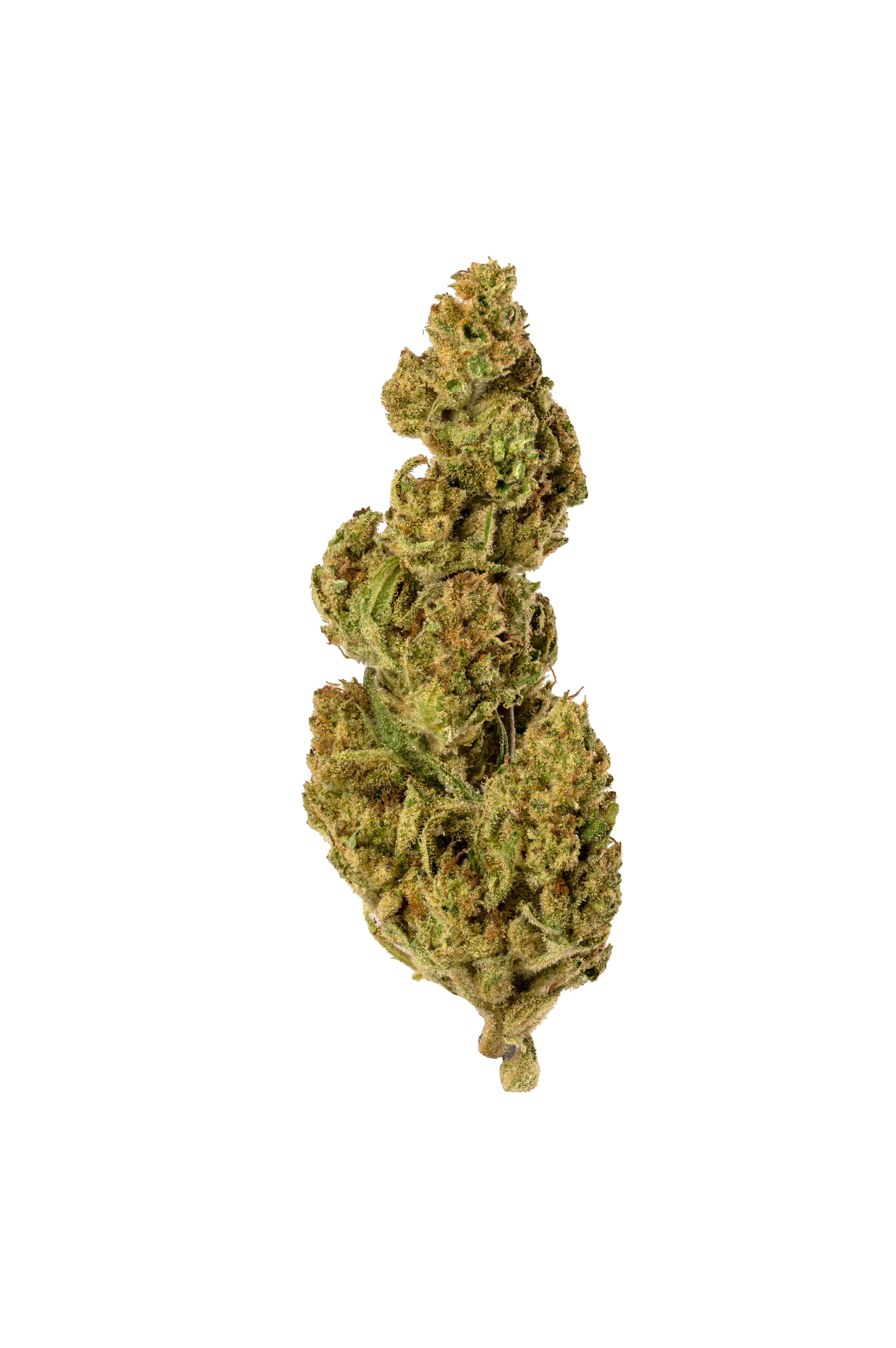 Photograph of product: Galactic Guava | 3.5g