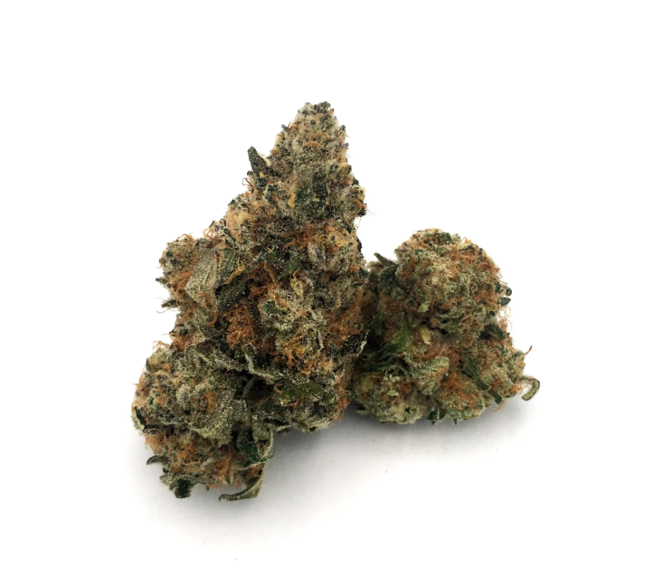 Photograph of product: Super Boof I 3.5G  (TAX INCLUDED)