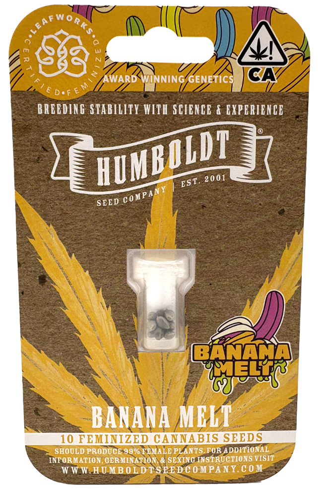 Photograph of product: Humboldt Seed Co | Banana Melt | 10PK Feminized Seeds