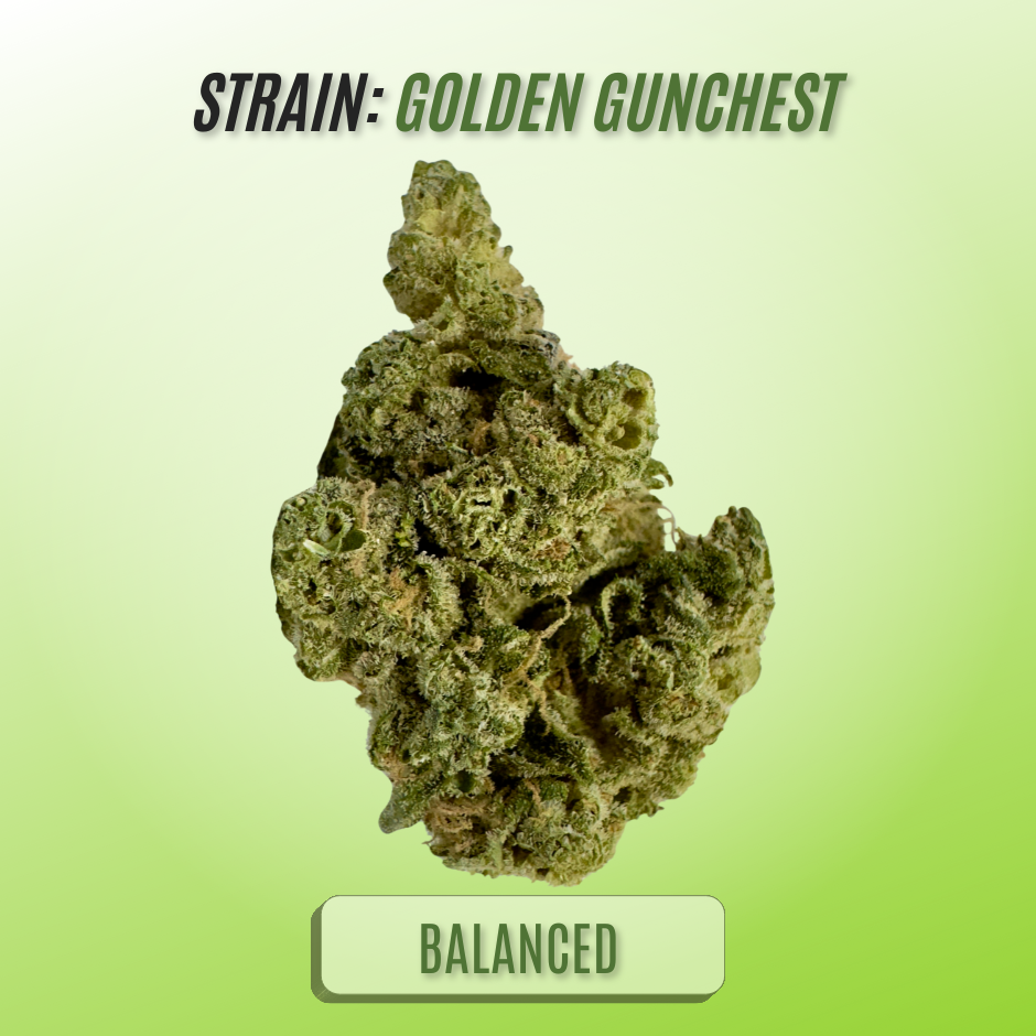 Photograph of product: Golden Gunchest (Hecate Gardens) $8/g - 28g