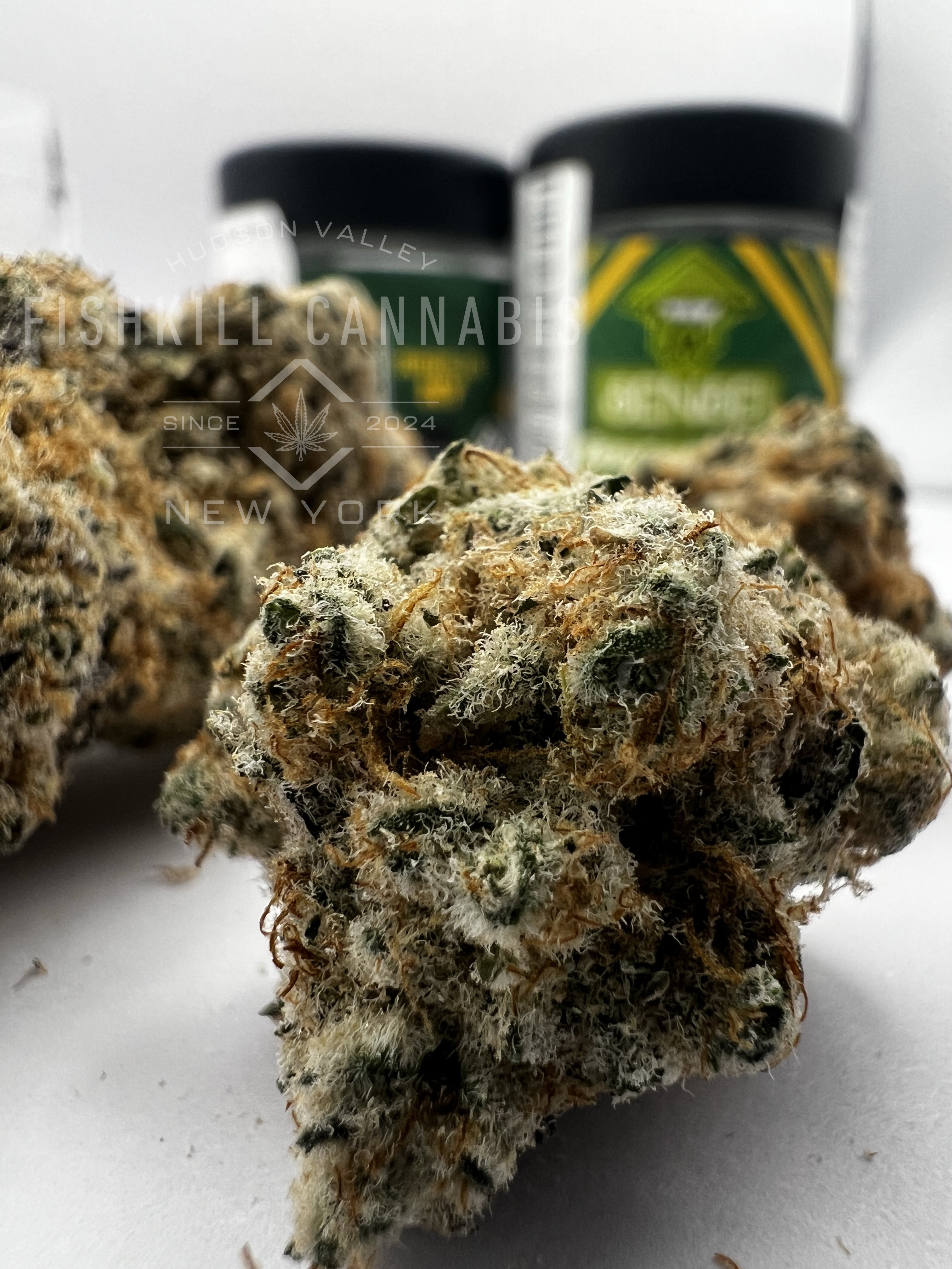 Photograph of product: Candy Cane 3.5g | SMALL BATCH Flower | Sensei