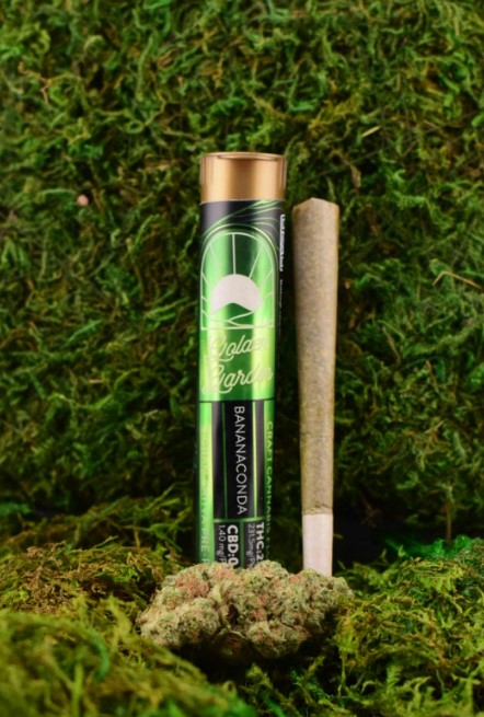 Photograph of product: Golden Garden | Bananaconda | Pre-Roll | 1g | (S)