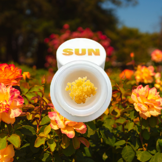 Photograph of product: BADDER | THUG ROZE | LIVE RESIN | 1G