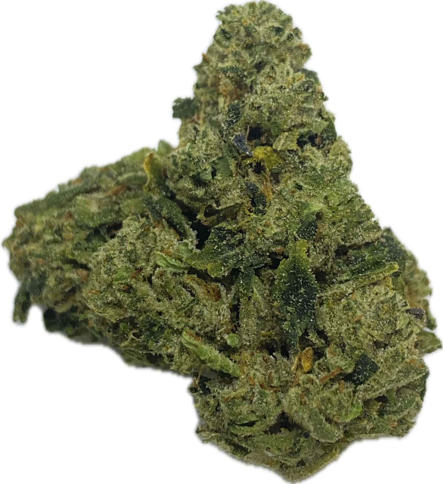 Photograph of product: Premier Meds - 517 Headband - Bulk Flower - 28g