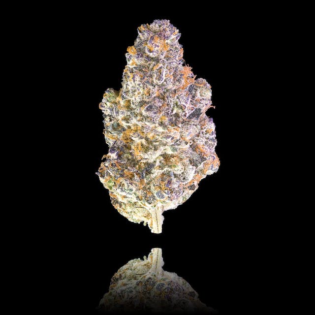 Photograph of product: Key Lime Jack- 14g - Retail