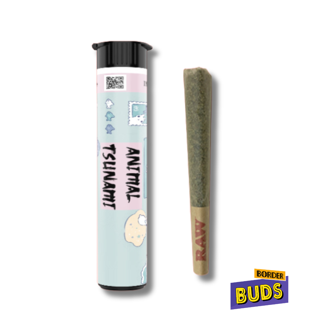 Photograph of product: Animal Tsunami | Shatter House | 1.5g | Pre-Roll