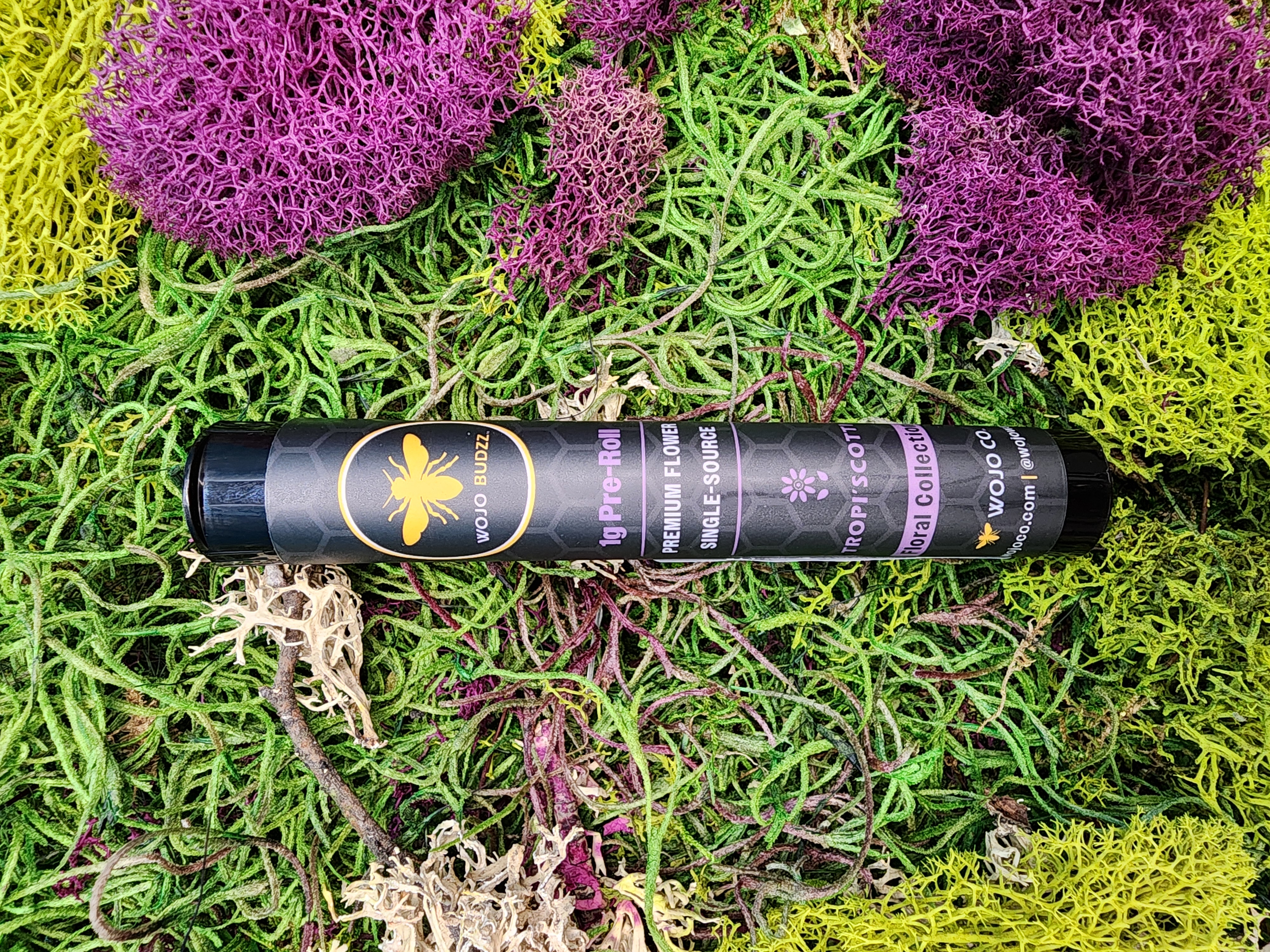 Photograph of product: 1G TROPISCOTTI PRE-ROLL
