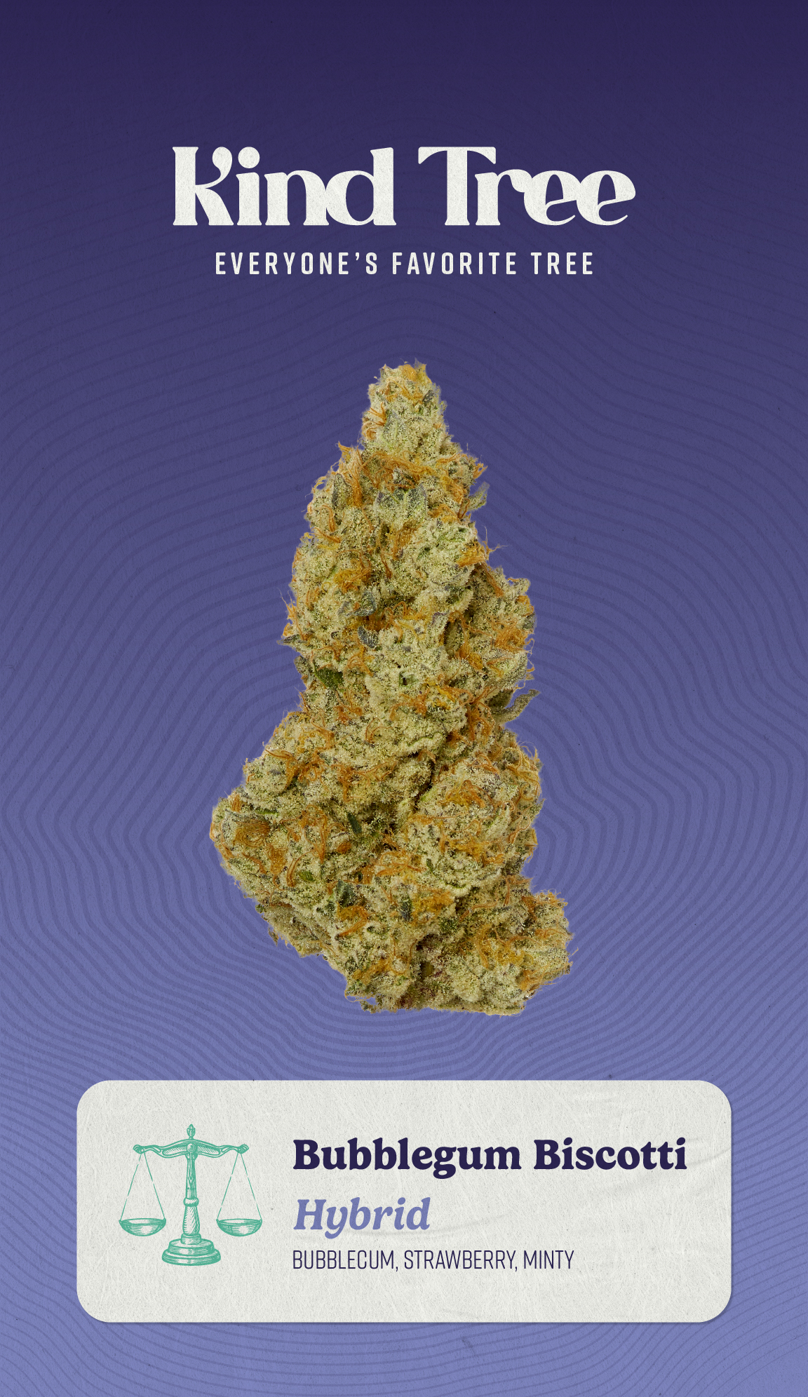 Photograph of product: Kind Tree | Bubblegum Biscotti (H) Flower Buds | 14g