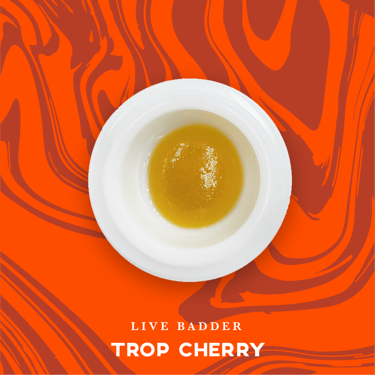 Photograph of product: Vivid - Trop Cherry - Live Badder