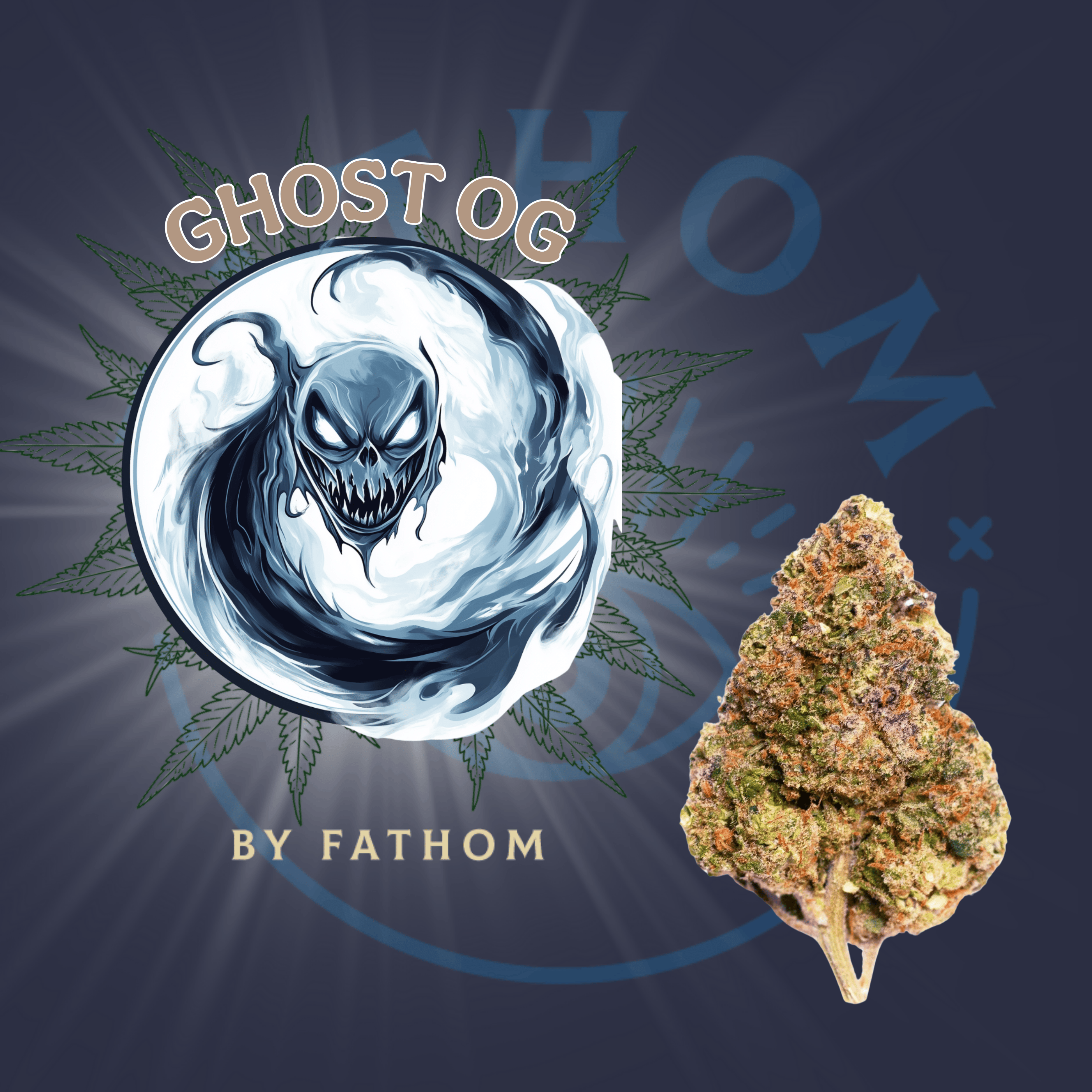 Photograph of product: Fathom Oui'd | Ghost OG Premium Flower | 3.5g