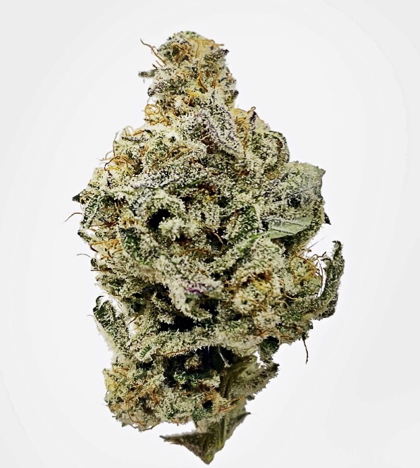 Photograph of product: MAC 1 Cap's Cut - 7g