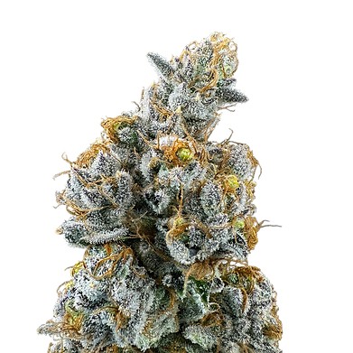 Photograph of product: Lemon Cake - 3.5g