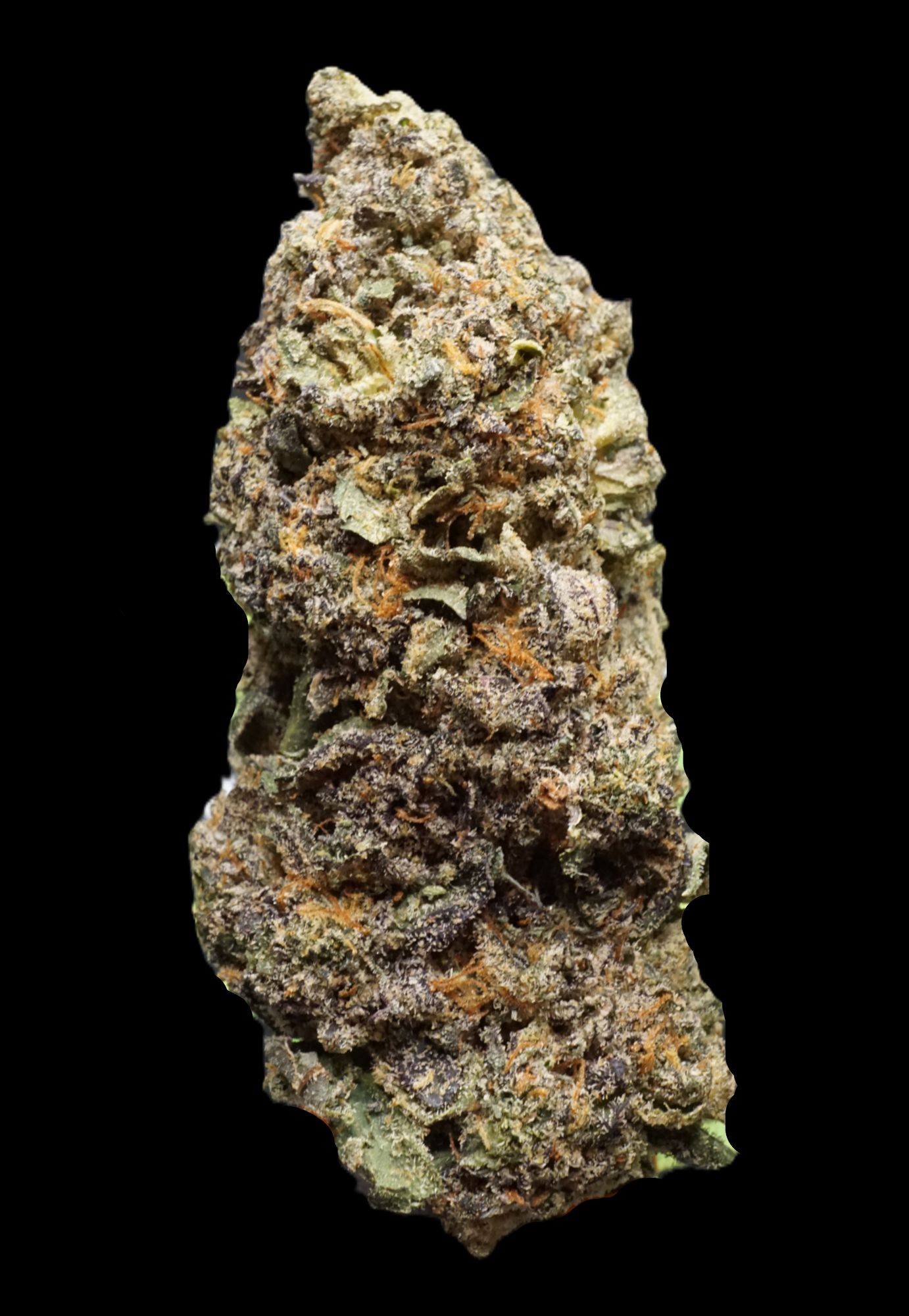 Photograph of product: Peach Rings - buds