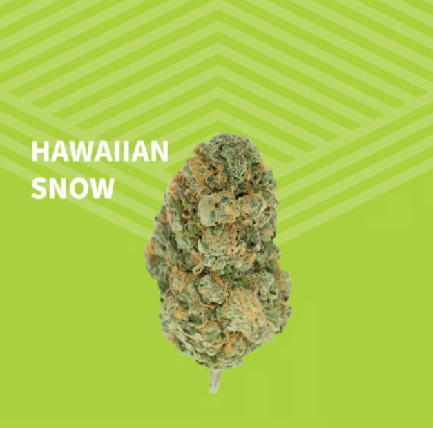 Photograph of product: Hawaiian Snow Flower - 3.5g