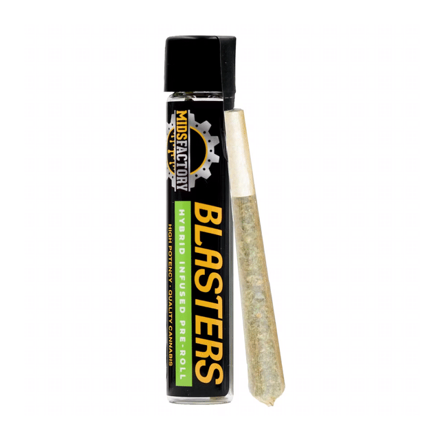 Photograph of product: Gusher Mintz x Sunset Fatso - 1.5G Infused Pre Roll - Gusher Mintz x Sunset Fatso (H)