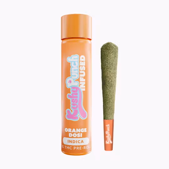 Photograph of Product: Kushy Punch: Infused Pre-Roll | Orange Dosi | 1g