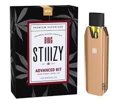 Photograph of product: BIIIG Battery | Rose Gold