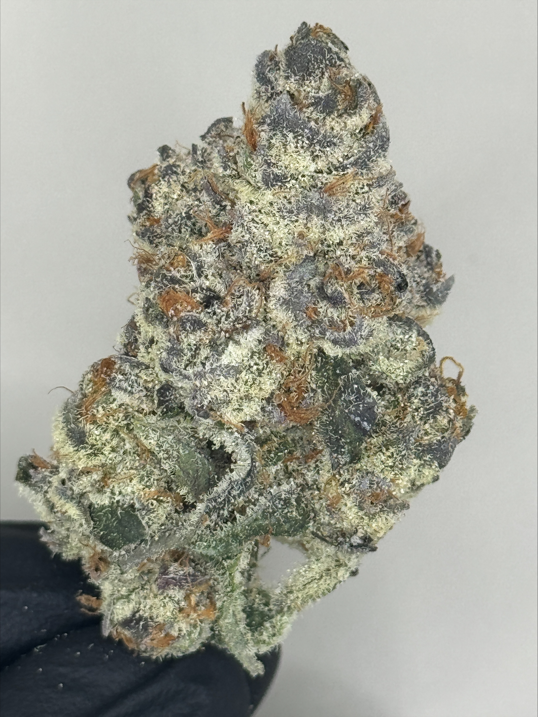 Photograph of product: DNG Hi Chew 47 Bulk Flower - Roy'zzz Exclusive - 28g