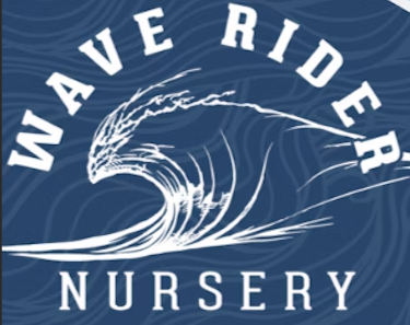 Photograph of product: WAVE RIDER - Flower - Acai Gelato - 3.5G