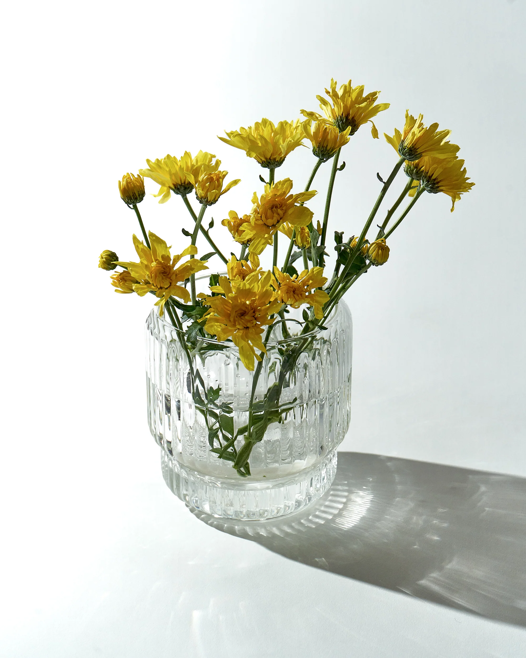 Photograph of product: The Vase