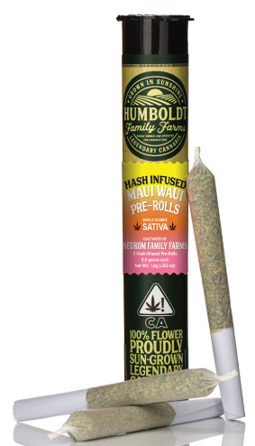 Photograph of product: Maui Waui [S] - au chocolat Prerolls 3PK