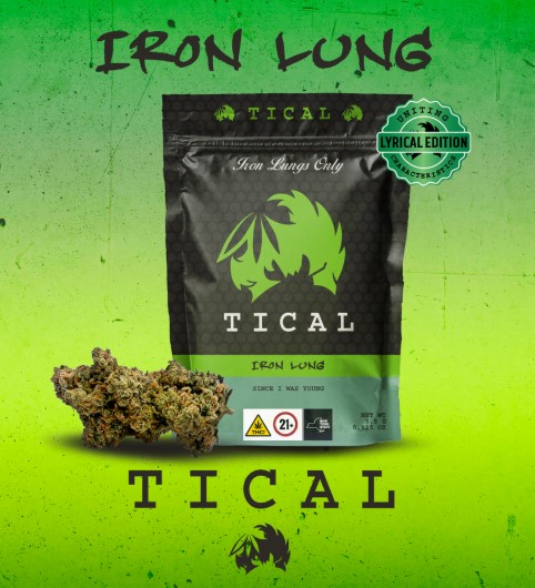 Photograph of product: Iron Lung | Premium Flower | 3.5g