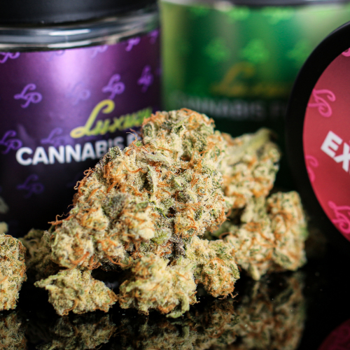 Photograph of product: LP Exotics Medulla (H) Flower 3.5g