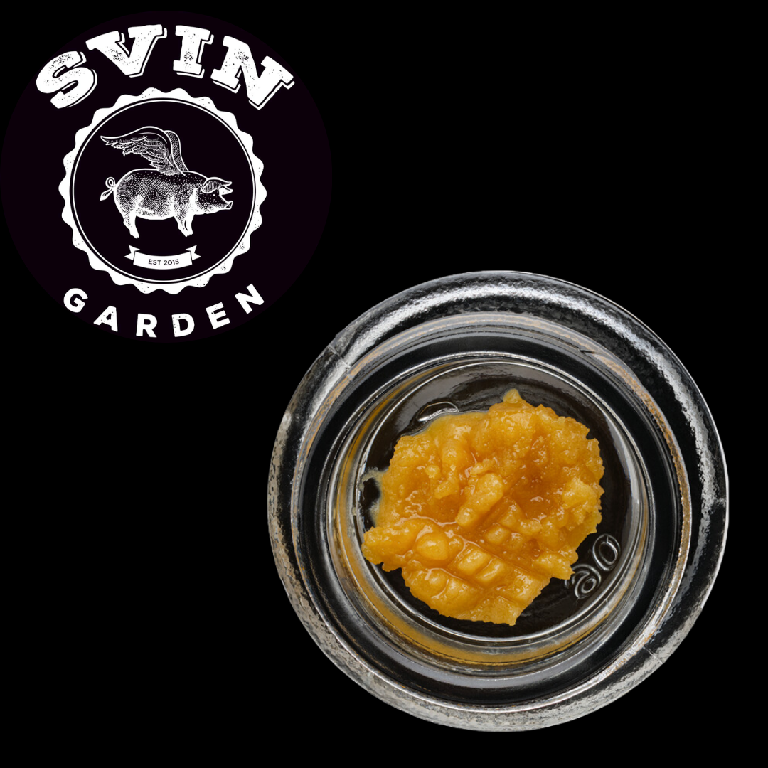 Photograph of product: Golden Lemons Terp Dough Svin Garden